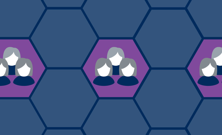 A graphic image of blue and purple hexagon tiles with symbols of people.